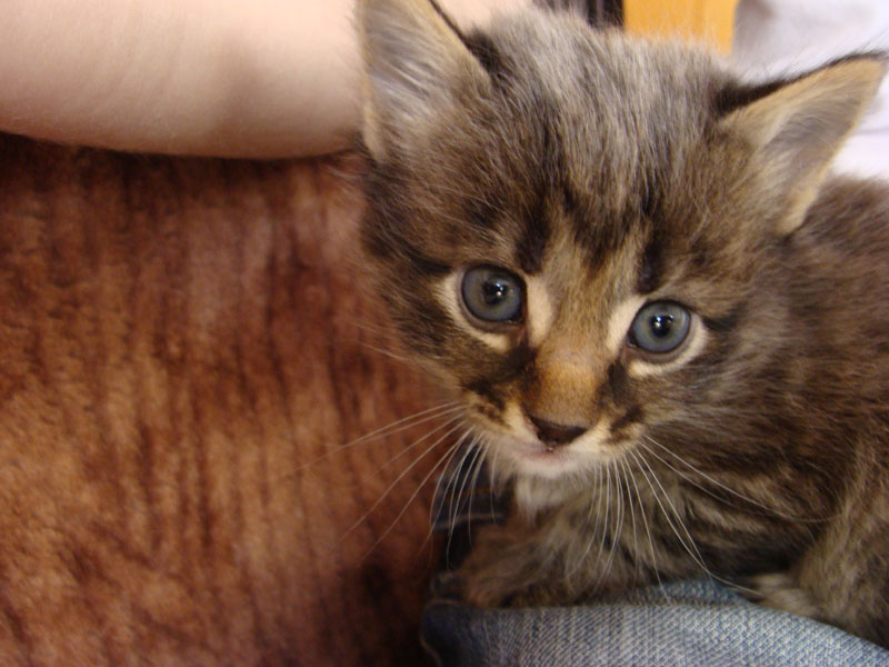 DSC09607 копия.jpg