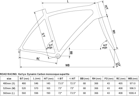 geometry_ROAD_carbonsuperlite_small.jpg