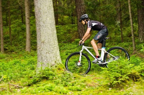 2012-CUBE_EPO_29er-mountain-bike-600x398.jpg