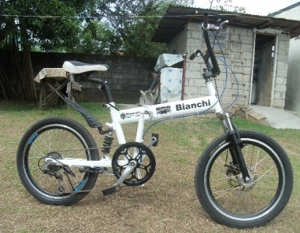 bianchi custom.jpg