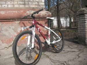 Изображение 066.jpg