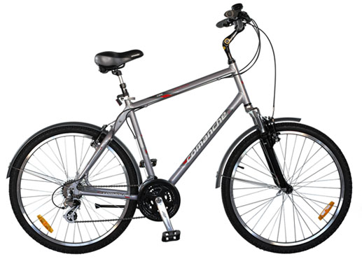 Comanche_Holiday_M_21_grey_enl_enl.jpg
