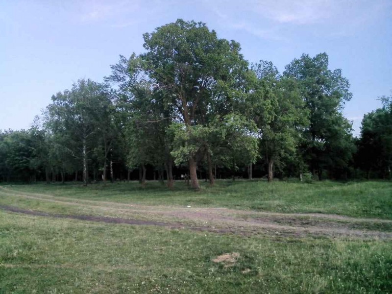20150523_194557_.jpg (75.53Кіб)Переглянуто 1453 разів 20150523_194557_.jpg