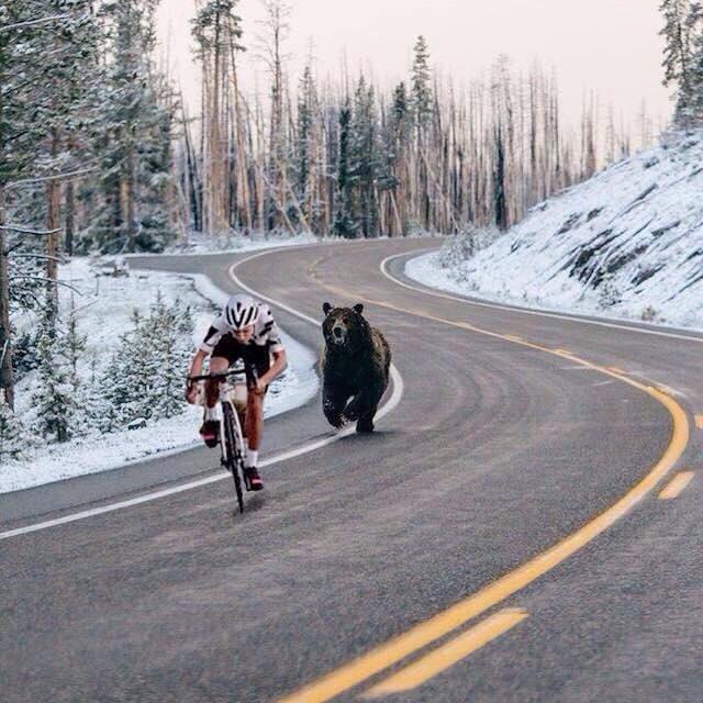 biker and bear.jpg