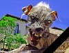 Аватар користувача