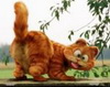 Аватар користувача