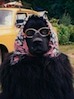 Аватар користувача