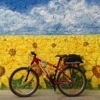 Аватар користувача
