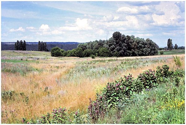 R0_14.jpg