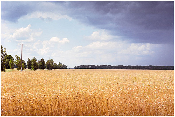 R0_10.jpg
