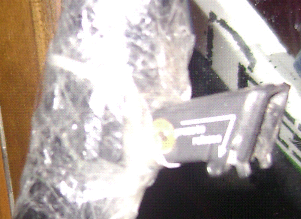 DSC01550.GIF
