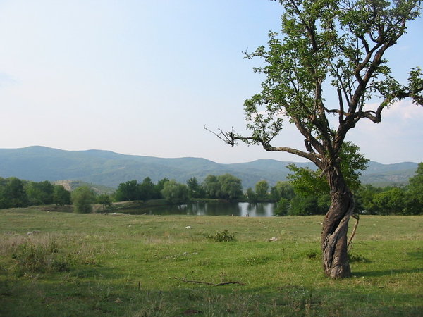 IMG_6905.jpg
