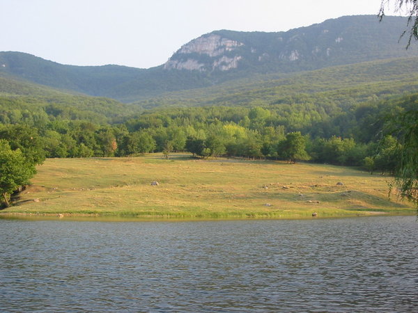 IMG_6984.jpg