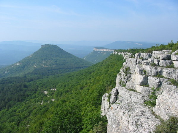 IMG_6515.jpg