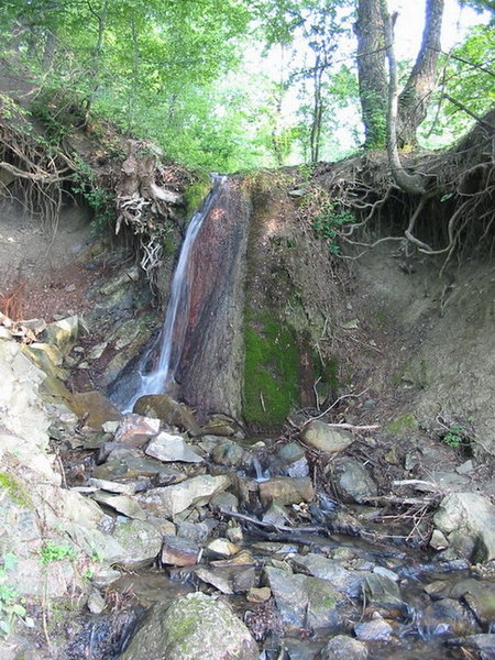 IMG_6940.jpg