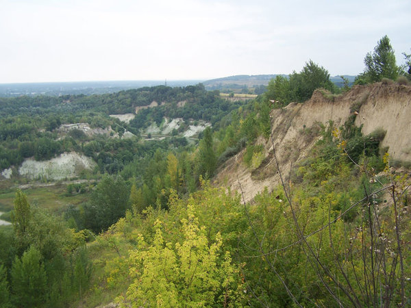 100_4240.jpg