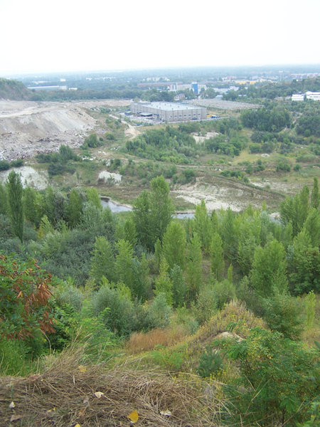 100_4242.jpg