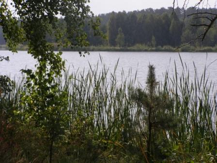Краса1.JPG