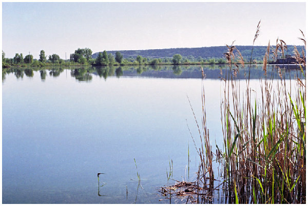 cholm3.jpg