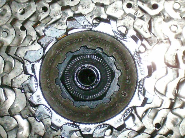 x_32725cb9.jpg