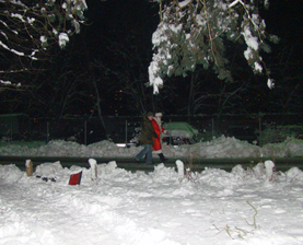 DSC09639-s.jpg