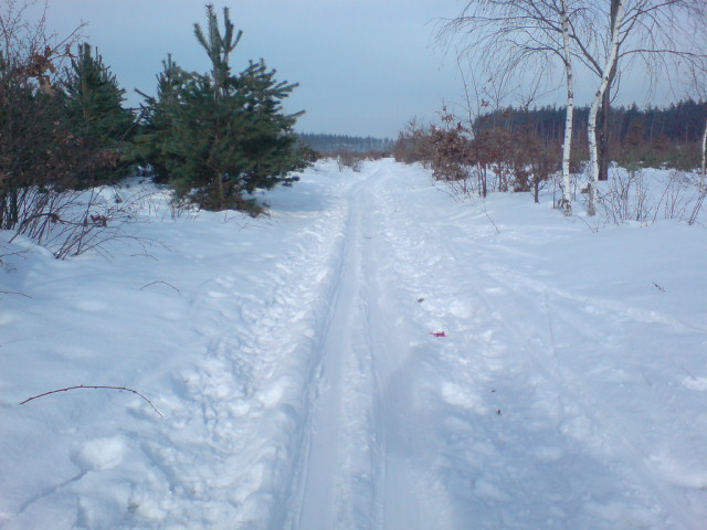 DSC02104.JPG