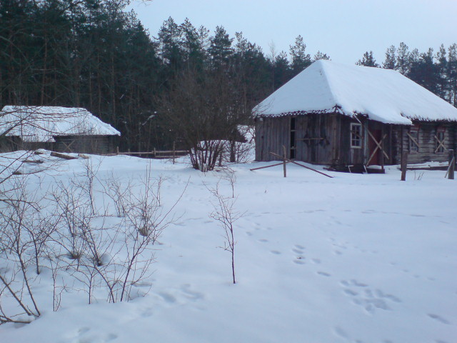 DSC02116.JPG