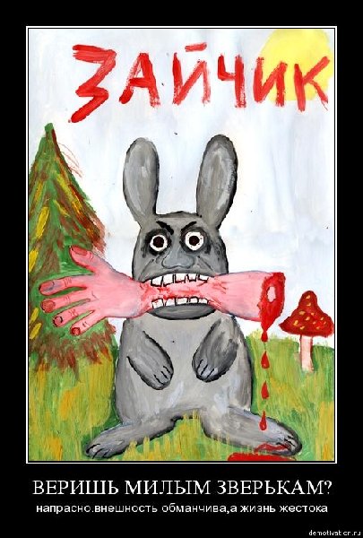rabbit.jpg