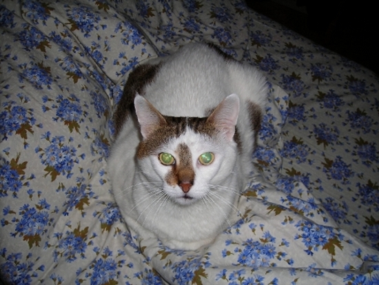 DSCN00721.JPG