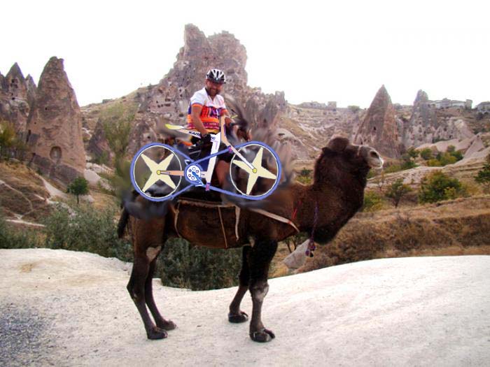 kalmius_vs_camel.jpg