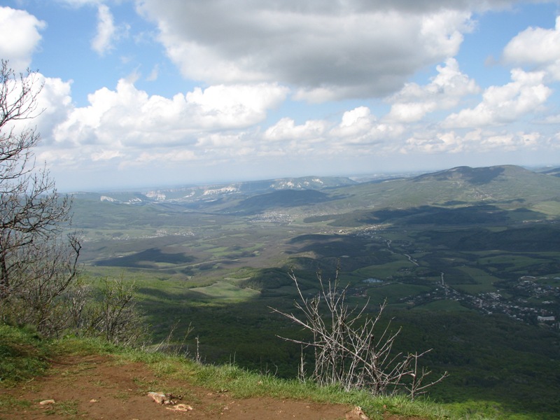 resize_1371.jpg