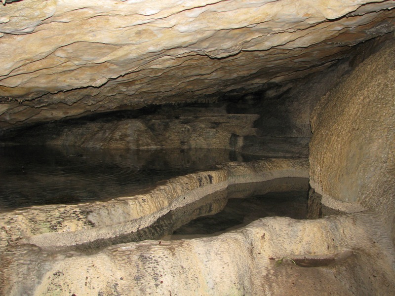 resize_1410.jpg