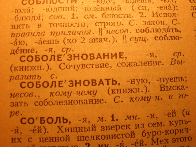 P4081382.JPG