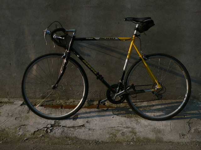 P1110017.JPG