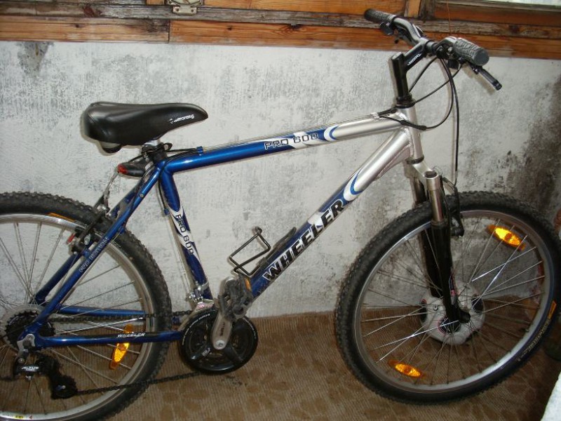 SL372093.JPG