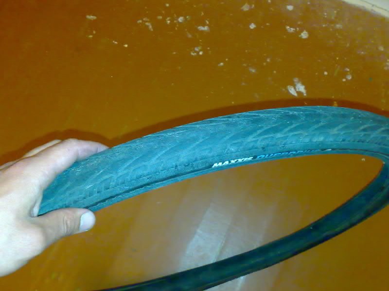 25042010499-001.jpg
