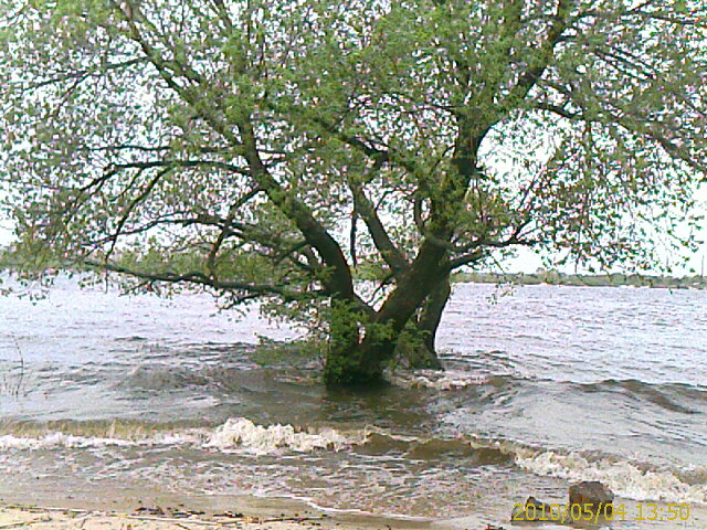 IMAGE_806.jpg