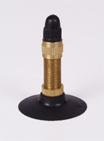 Dunlop_Valve.jpg