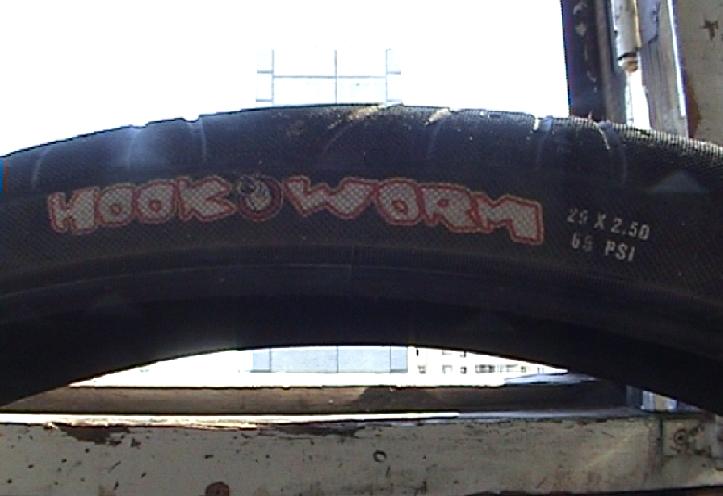 worm2.JPG
