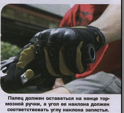 32453245.jpg