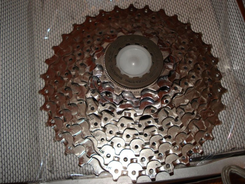 DSC02610.JPG