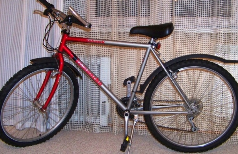 Копия 100_0899.JPG