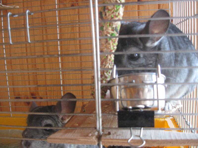 Изображение 147.jpg