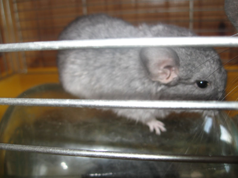 Изображение 148.jpg