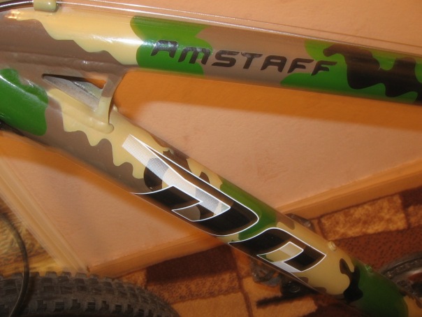 x_79cf139f.jpg
