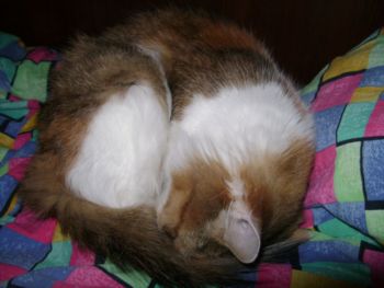 DSC00913.JPG