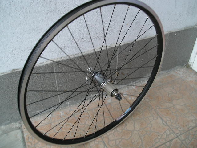 P1010095.JPG