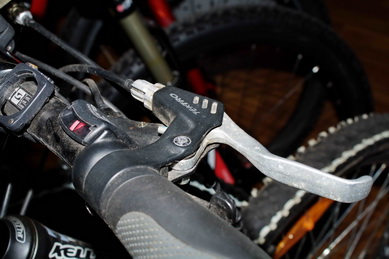 IMG_8831_новый размер.jpg