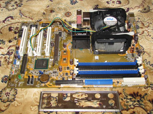 Resize of IMG_0224.jpg