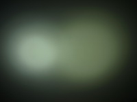 P1234362sm.jpg